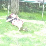 Schwimmen, Zocken, Stäbesuche